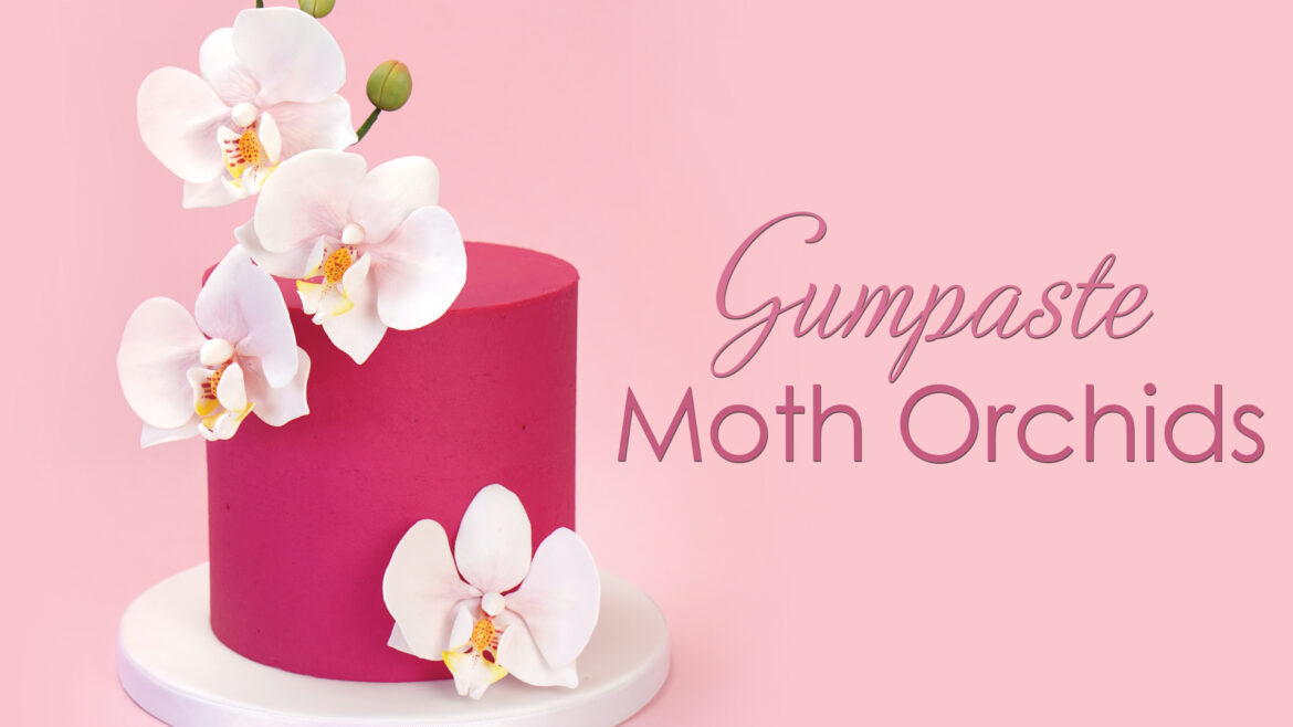 Gumpaste sugar moth orchid cake tutorial