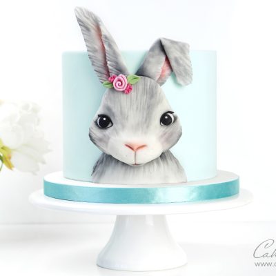 Bunny Rabbit Cake Tutorial 2
