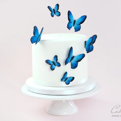 Butterfly cake tutorial