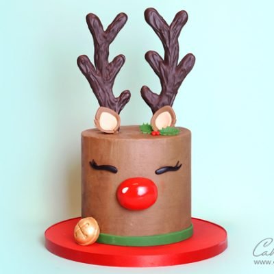 Christmas Reindeer cake