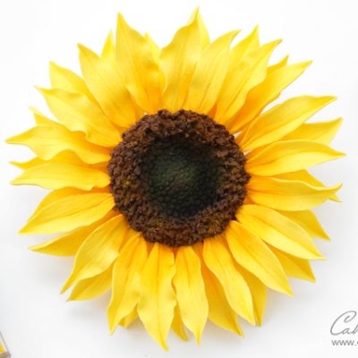 Gumpaste Sunflower Tutorial