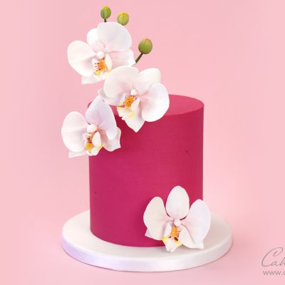 how to make a Gumpaste sugar moth Orchid for your cake