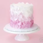 Wafer paper Confetti Cake texture Wafer paper Confetti Cake texture