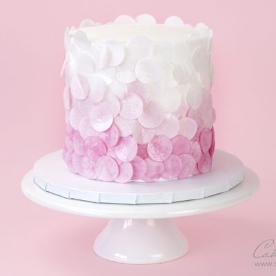 Wafer paper Confetti Cake texture