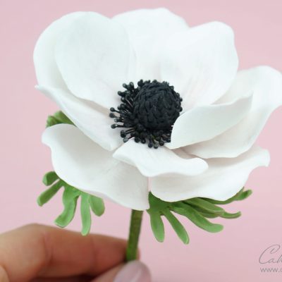 gumpaste anemone flower tutorial