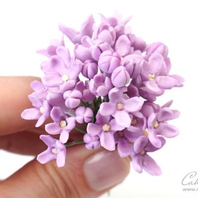 gumpaste lilacs