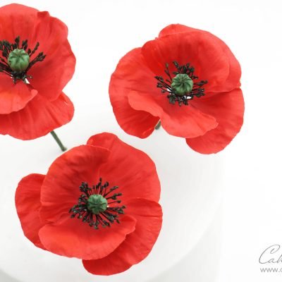 Gumpaste poppies